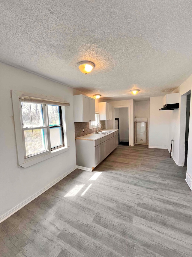 17421 Oakland St, Highland Park, MI 48203 - kitchen featuring light wood-type flooring, light countertops, a textured ceiling, baseboards, and a sink