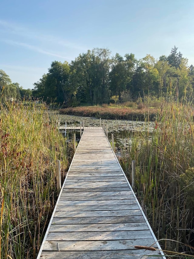 view of dock area