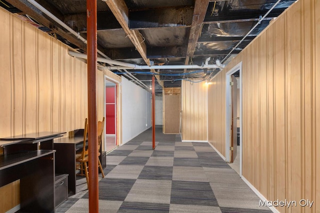 unfinished below grade area with carpet floors