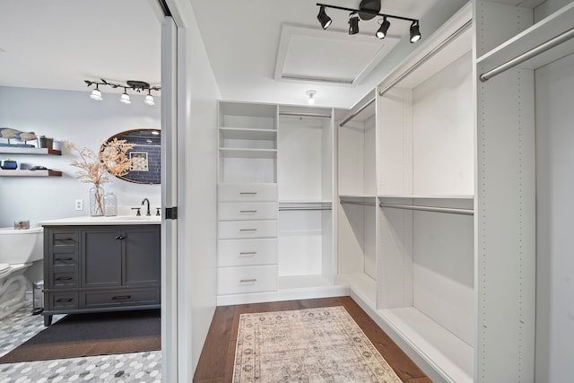 spacious closet with a sink and dark wood-type flooring