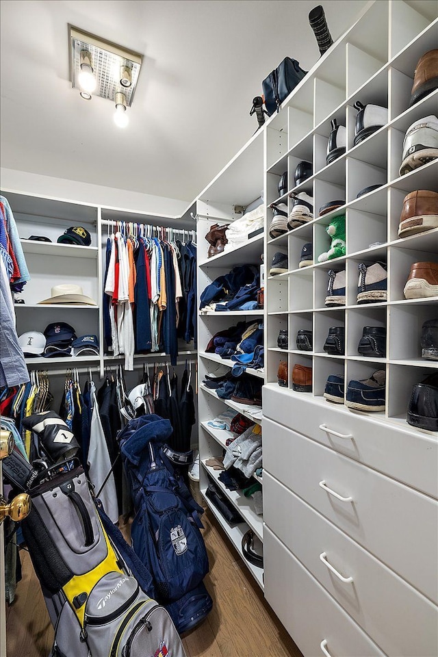 walk in closet with wood finished floors