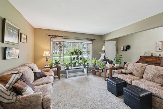 living area featuring carpet flooring