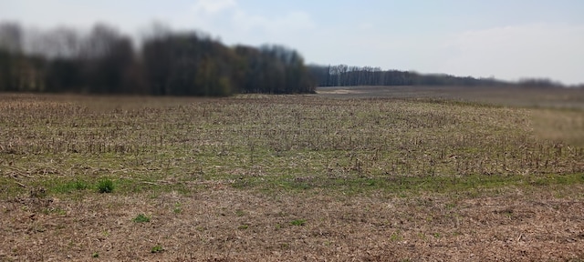 view of yard with a rural view