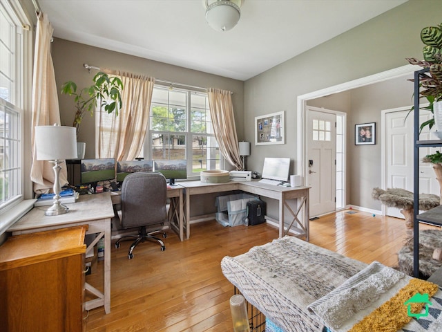 office area featuring a wealth of natural light and light wood-type flooring
