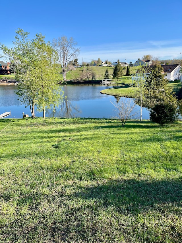 14378 Kildare Ln, Cement City, MI 49233 - photo 4