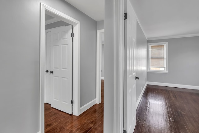 8790 E Outer Dr, Detroit, MI 48213 - hall featuring ornamental molding, wood finished floors, and baseboards