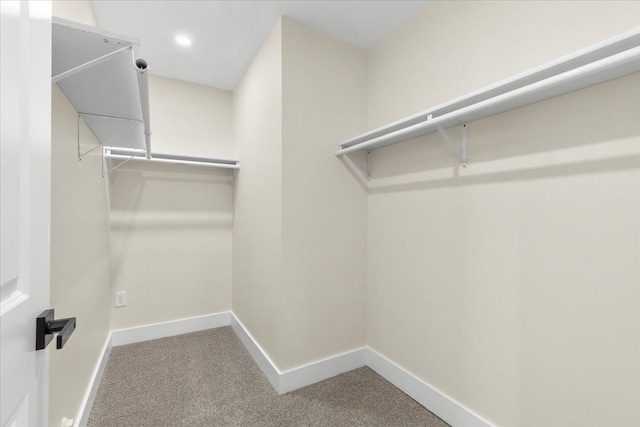spacious closet featuring carpet