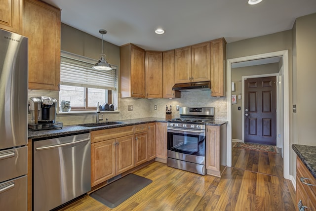 kitchen with decorative backsplash, wood finished floors, a sink, under cabinet range hood, and stainless steel appliances