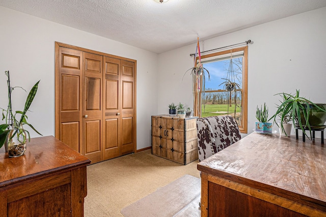 office featuring a textured ceiling and light colored carpet
