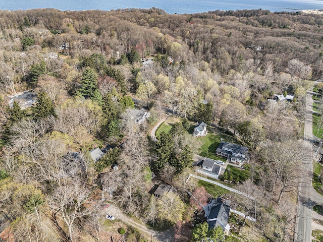 350 Ferry St, Douglas, MI 49406 - aerial view featuring a water view and a view of trees