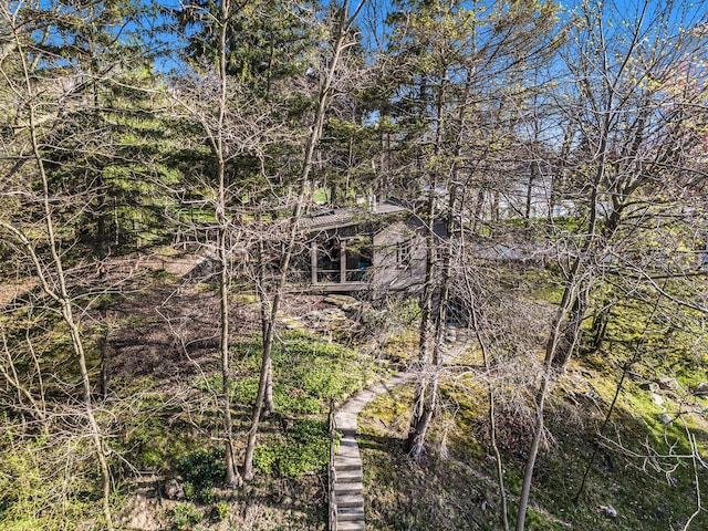 350 Ferry St, Douglas, MI 49406 - view of landscape