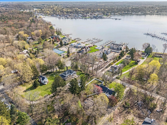 350 Ferry St, Douglas, MI 49406 - drone / aerial view with a water view