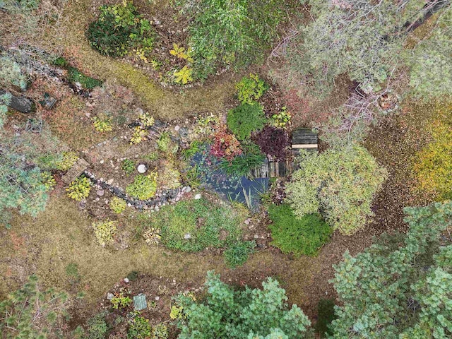 320 Marble St, Cadillac, MI 49601 - birds eye view of property
