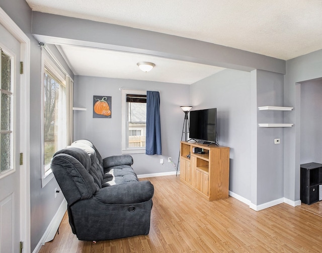 322 Astor Ave, Lansing, MI 48910 - living room with light wood-style flooring and baseboards