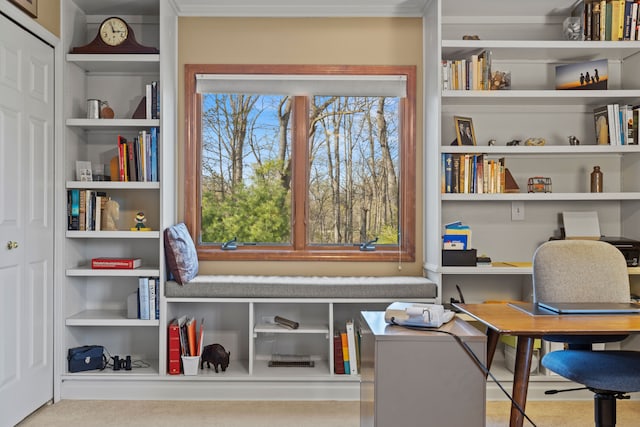 living area featuring built in shelves