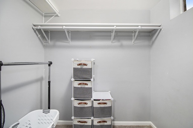 view of spacious closet