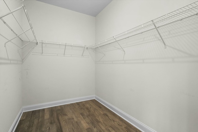 spacious closet with dark wood-style flooring