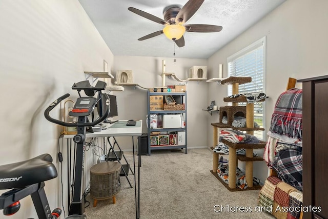 office space with carpet floors, a ceiling fan, and baseboards