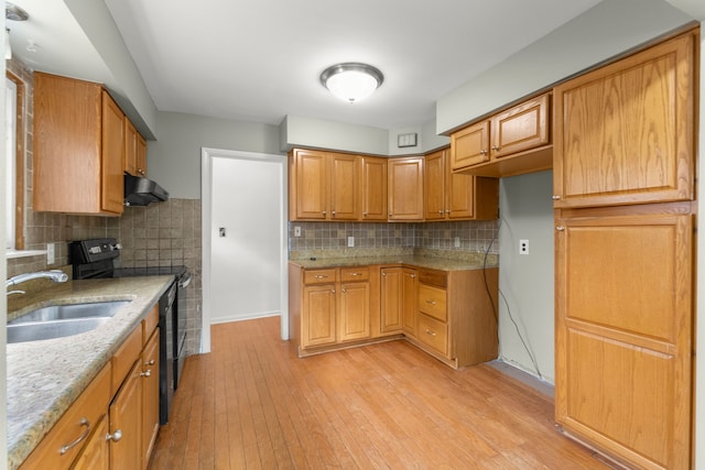 15167 Keppen Ave, Allen Park, MI 48101 - kitchen with black range with electric stovetop, light wood-style floors, ventilation hood, tasteful backsplash, and a sink