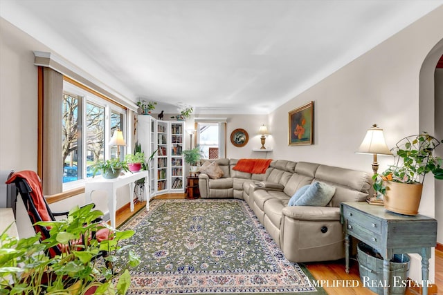living area featuring wood finished floors and arched walkways