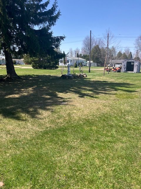 view of yard with an outdoor structure and a storage shed