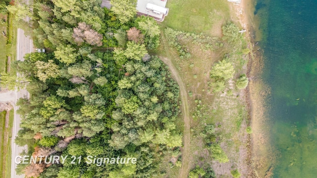 VACANT Swan Creek Rd, Hemlock, MI 48626