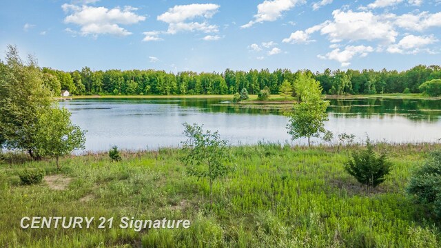 VACANT Swan Creek Rd, Hemlock, MI 48626