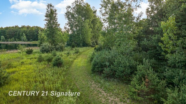 VACANT Swan Creek Rd, Hemlock, MI 48626