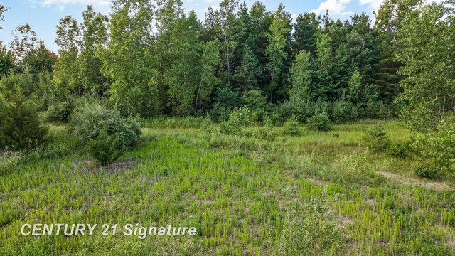 VACANT Swan Creek Rd, Hemlock, MI 48626