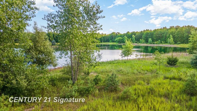 VACANT Swan Creek Rd, Hemlock, MI 48626