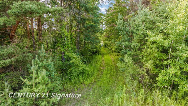 VACANT Swan Creek Rd, Hemlock, MI 48626