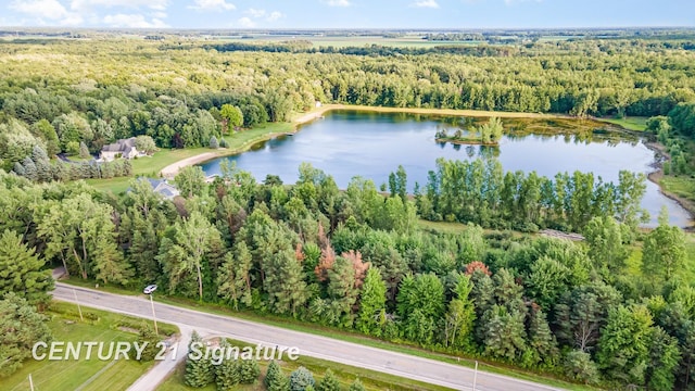 VACANT Swan Creek Rd, Hemlock, MI 48626