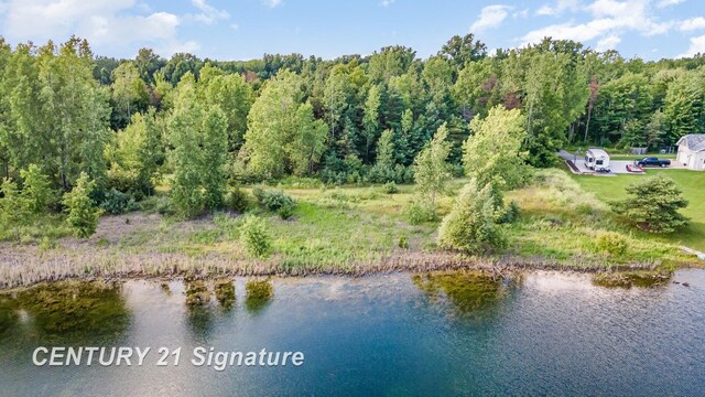 VACANT Swan Creek Rd, Hemlock, MI 48626