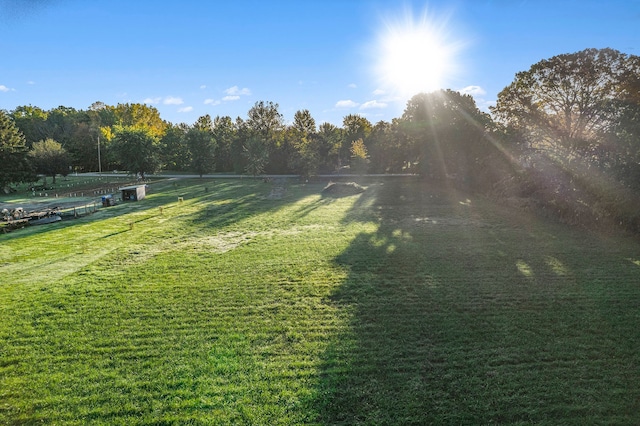 13124 Ripley Rd, Linden, MI 48451 - photo 8