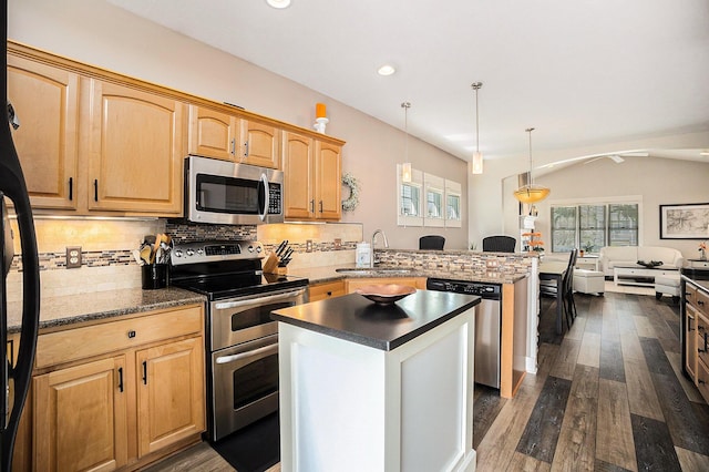 kitchen featuring a sink, a peninsula, appliances with stainless steel finishes, and dark wood-type flooring