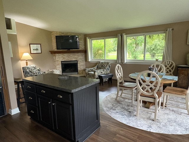 5009 John Holmes Rd, Ann Arbor, MI 48103 - kitchen with a stone fireplace, dark cabinetry, dark wood-style flooring, vaulted ceiling, and baseboards