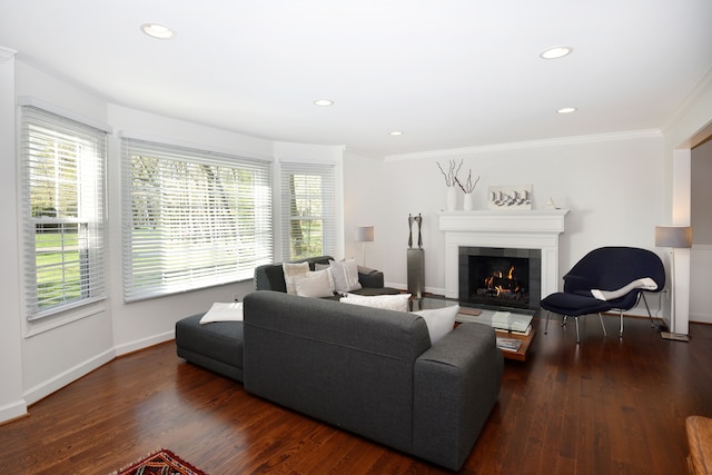 living area with ornamental molding, a healthy amount of sunlight, and a tile fireplace