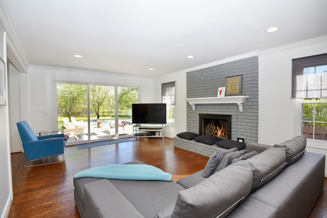 living room featuring ornamental molding and wood finished floors
