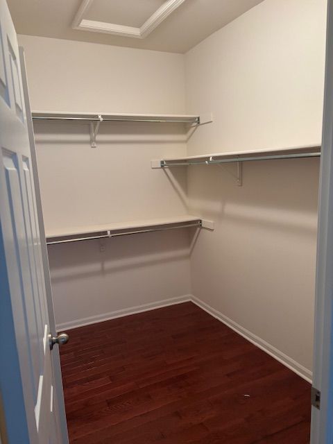 spacious closet featuring attic access and dark wood-type flooring