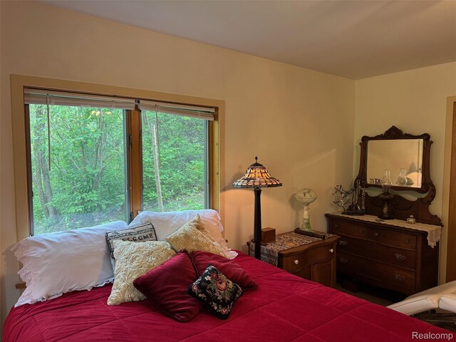 5891 Delano Rd, Oxford, MI 48371 - photo 52