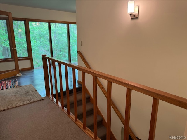 5891 Delano Rd, Oxford, MI 48371 - photo 46