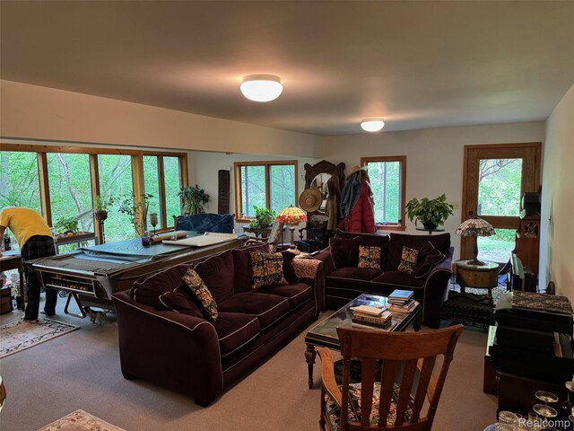 5891 Delano Rd, Oxford, MI 48371 - photo 53