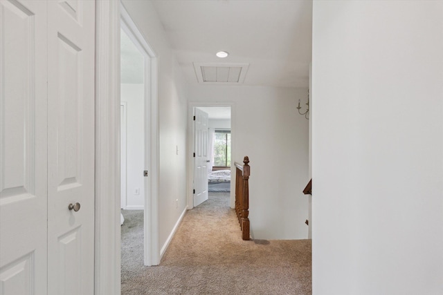 corridor featuring visible vents, light carpet, and attic access