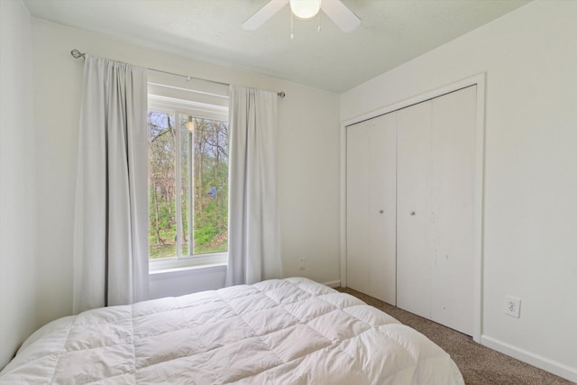 bedroom with carpet floors, baseboards, a closet, and multiple windows