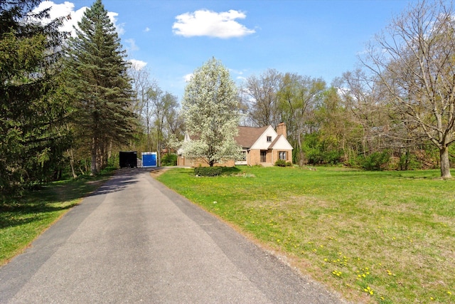 view of road with aphalt driveway