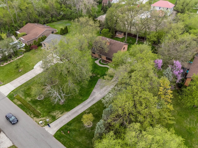 bird's eye view