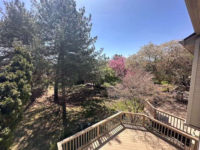view of yard featuring a wooden deck