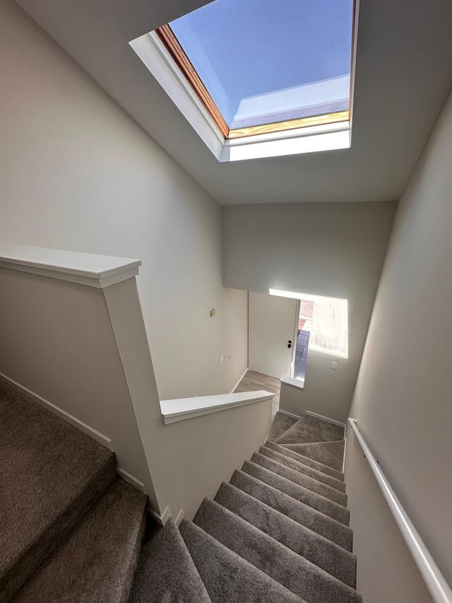 stairway featuring carpet floors and a skylight