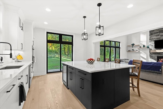 kitchen with dark cabinets, a sink, white cabinets, and a wealth of natural light