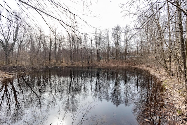 property view of water with a view of trees